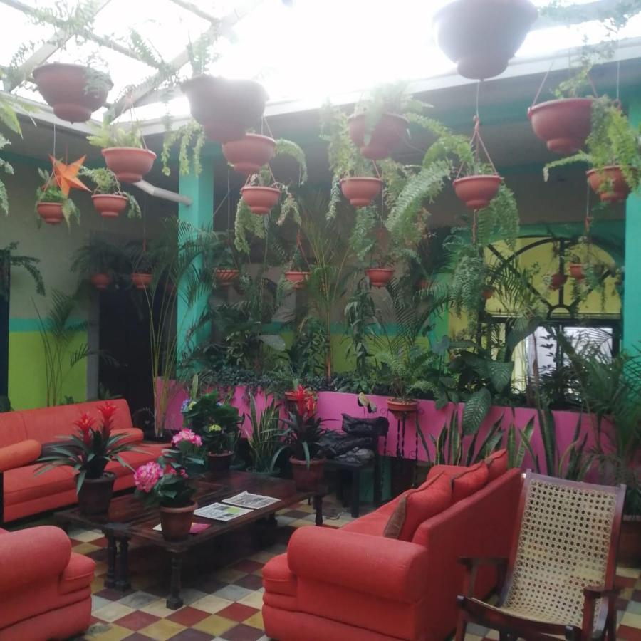 Hotel Kasa Kamelot Central Quetzaltenango Kültér fotó