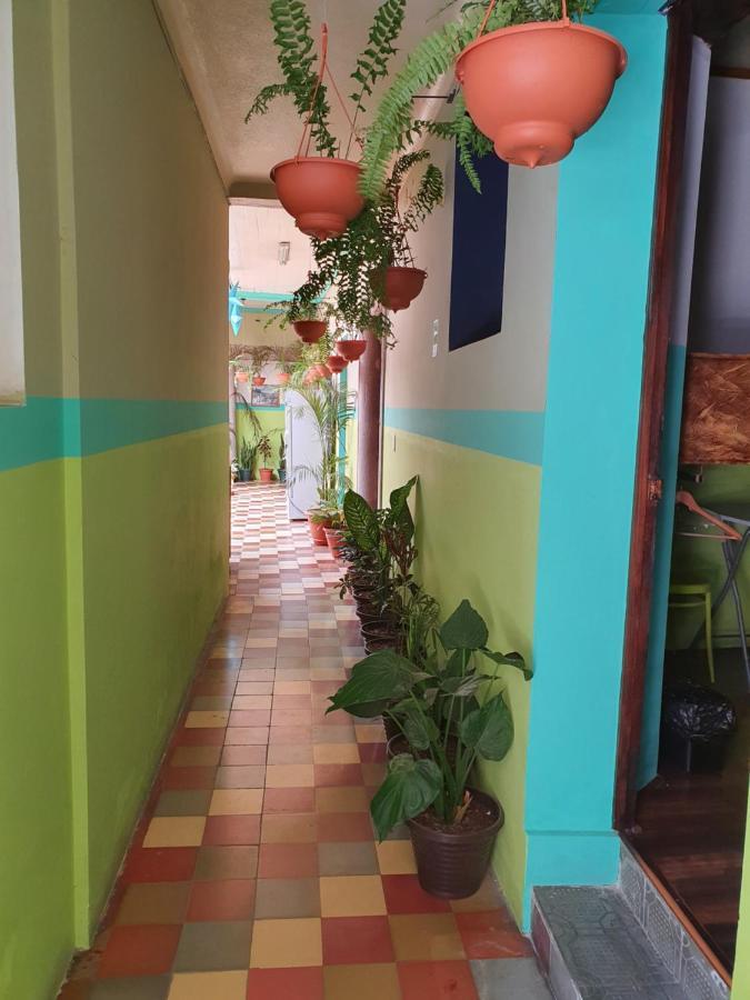 Hotel Kasa Kamelot Central Quetzaltenango Kültér fotó